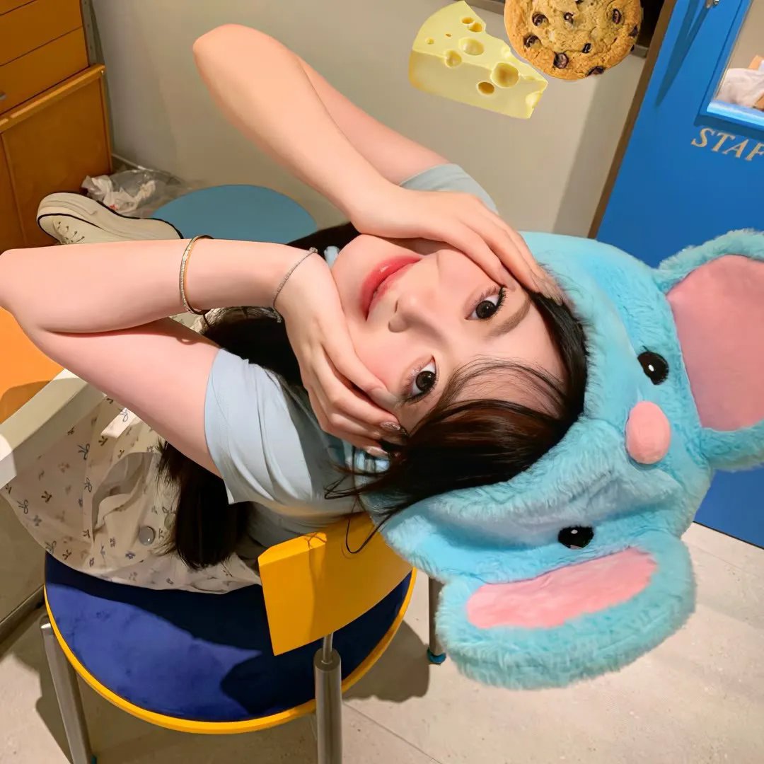 探险活宝第四季