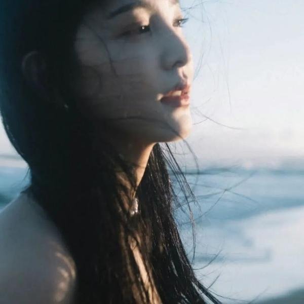 天龙寺之星辰传